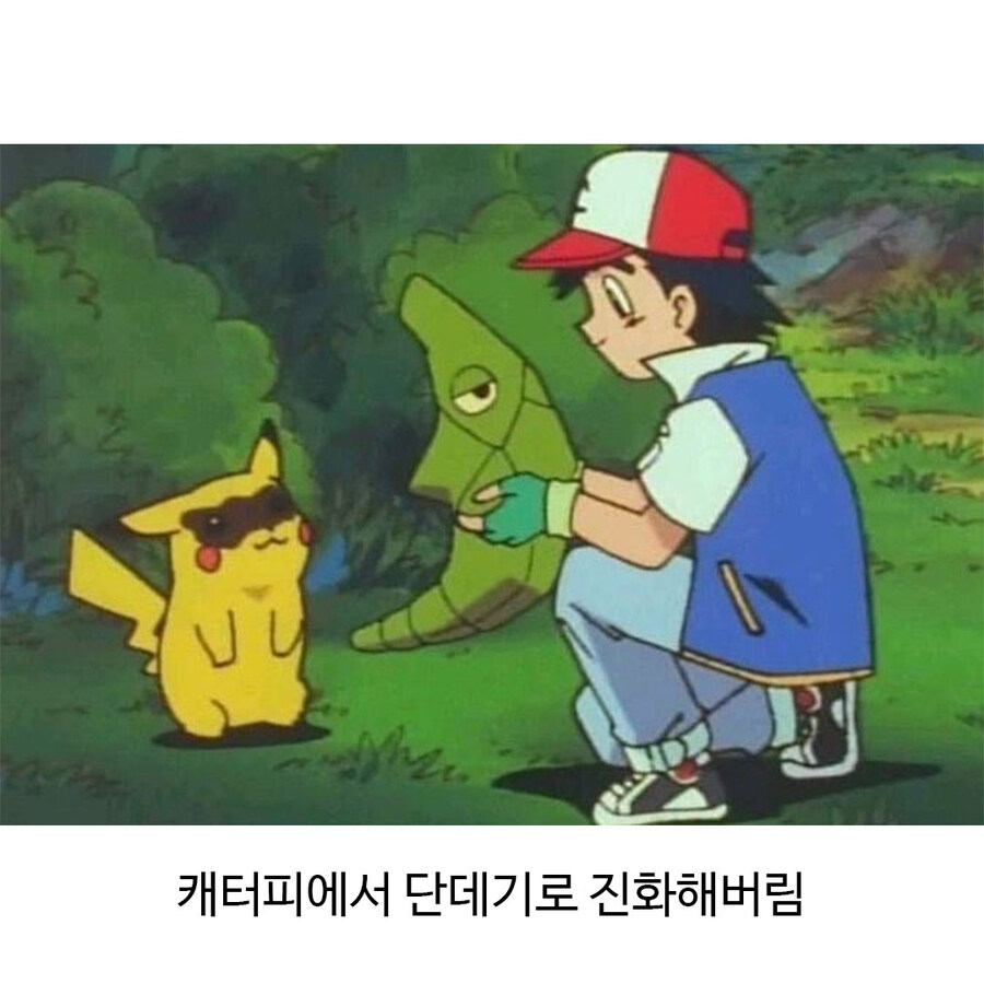 나비 부화에 성공한 식물갤_5.jpg