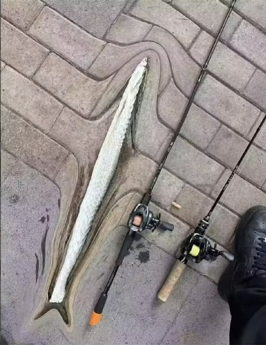 대어를 낚은 낚시꾼_1.jpg