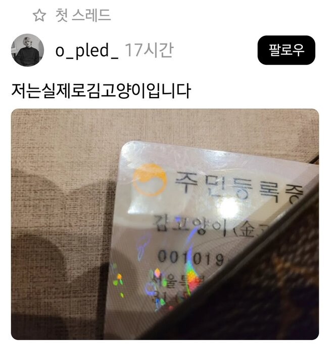 어떻게 사람이 고양이냐 ㅋㅋㅋ.jpg_1.jpg
