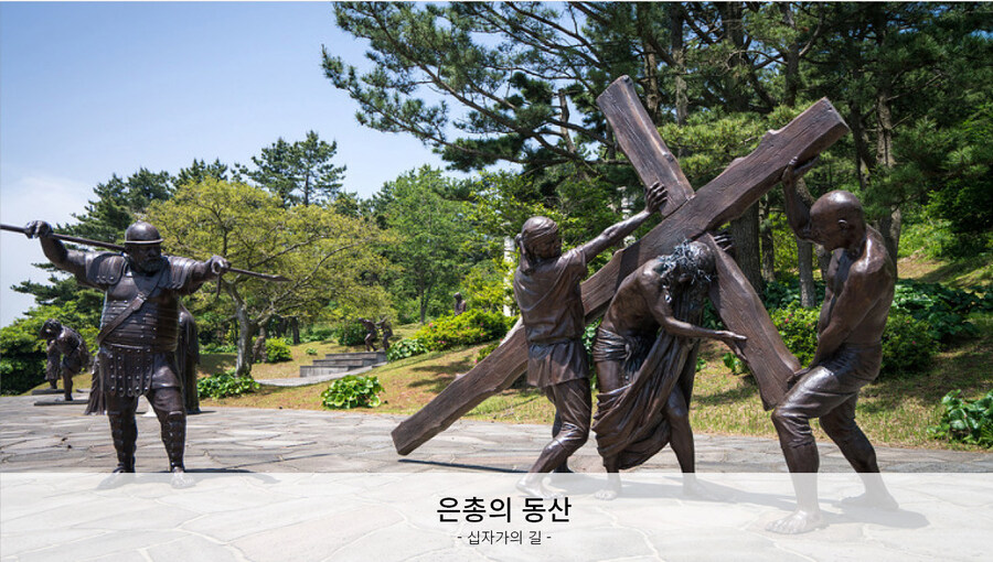 제주도 4박 5일 5만원이면 싼편인가요?_3.jpg