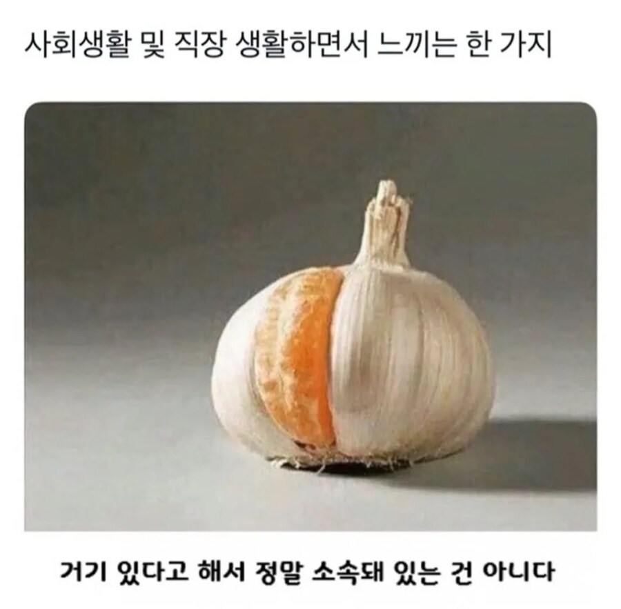 사회생할 하면서 느낀거_1.jpg