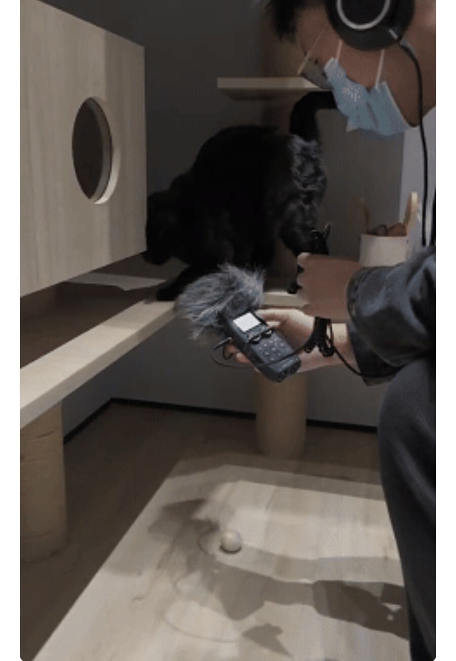 녹음실에서 깐깐하게 구는 게임 성우.jpg_3.png