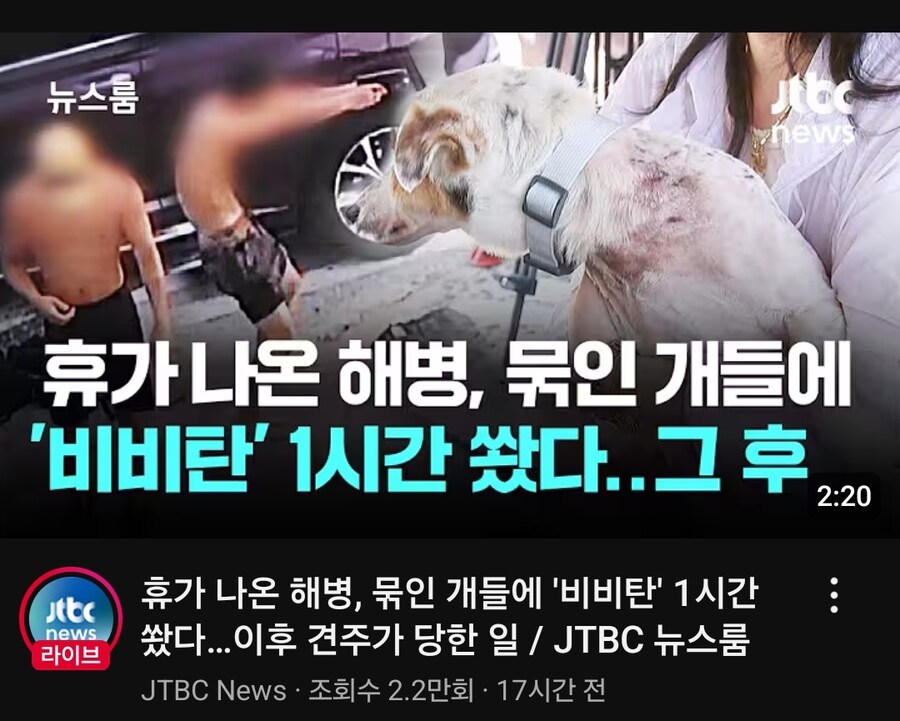 요즘 해병 퀄리티_1.jpg