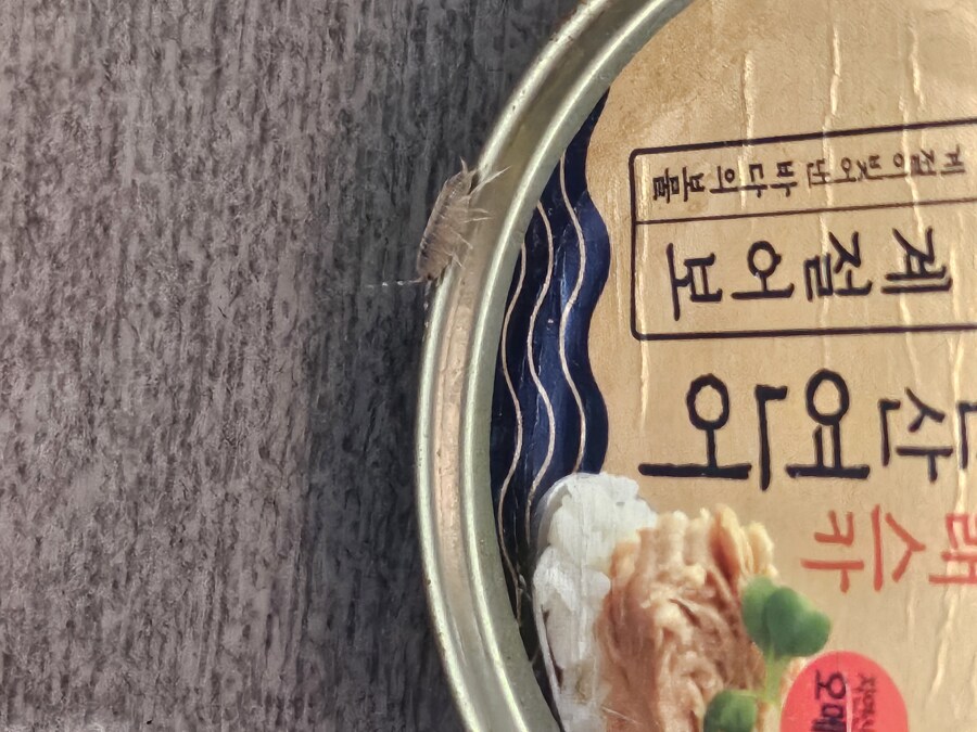 이건 무슨 벌레임?_1.jpg