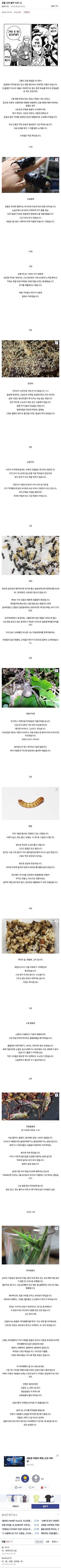 약혐) 곤충 시식 평가 TOP 11.txt_1.jpg