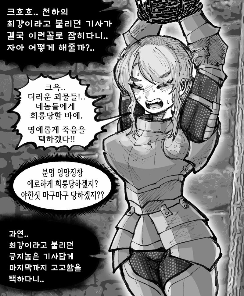 포로로 잡혀버린 여기사.jpg_1.jpg