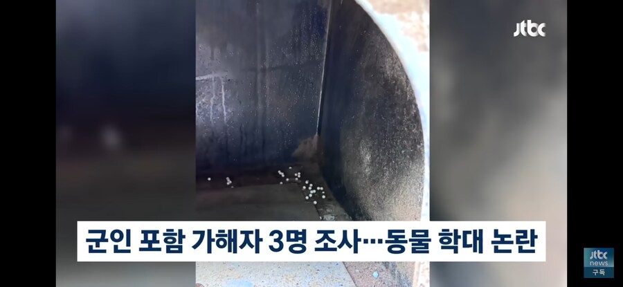 비비탄 난사해서 개 죽인거 생각보다 더 심각한데...?_1.jpg