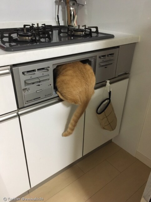 요즘 한국 가정에선 잘 안보이는 것_1.png