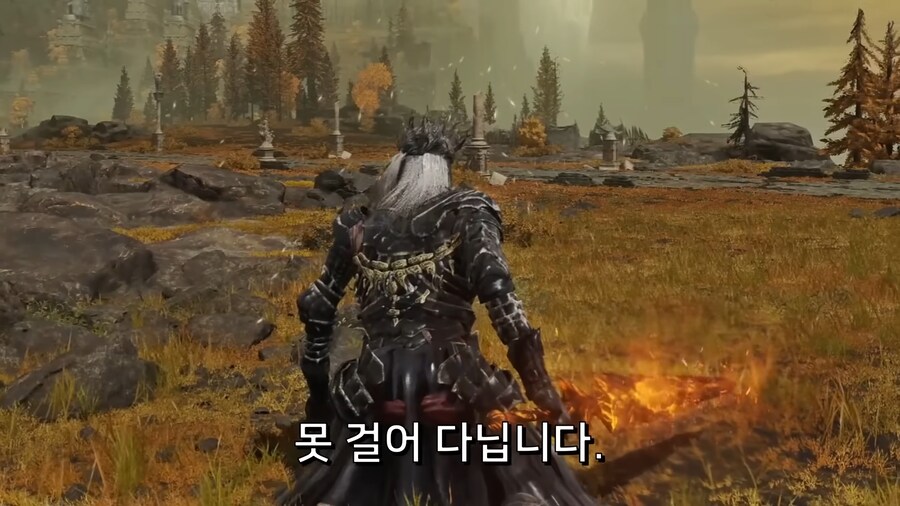 어느 엘든링 빛바랜자의 컨셉플레이_9.png