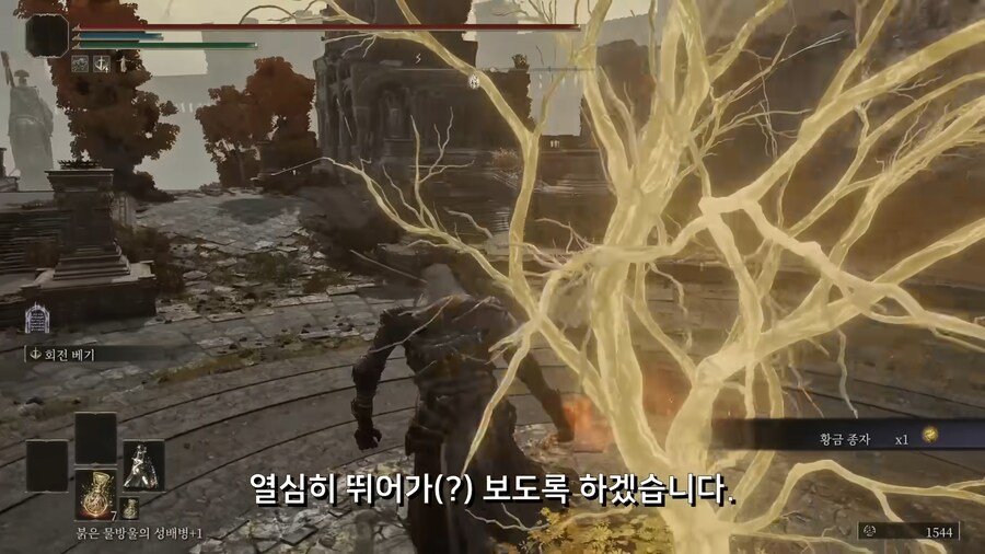 어느 엘든링 빛바랜자의 컨셉플레이_17.png