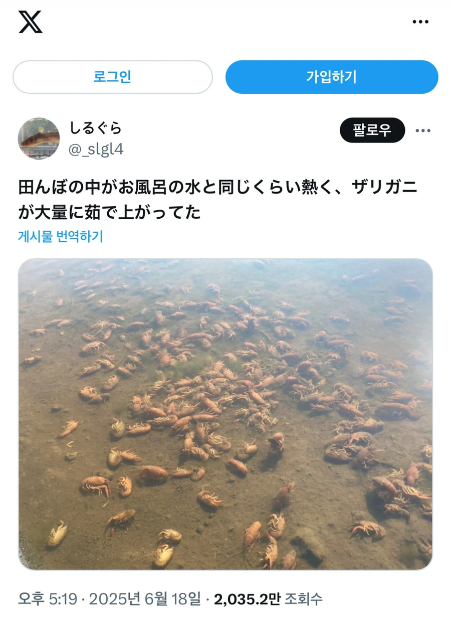 어제자 일본 날씨 근황_1.webp