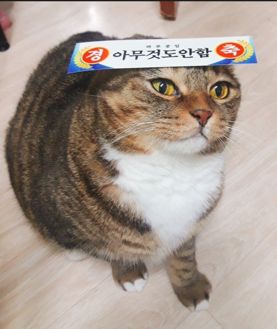 마비m)보통 시즌 마지막에는 설문조사를하고 피드백을 받는데_1.jpg