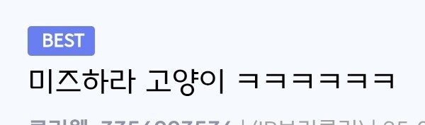 미즈하라 고양이_1.jpg