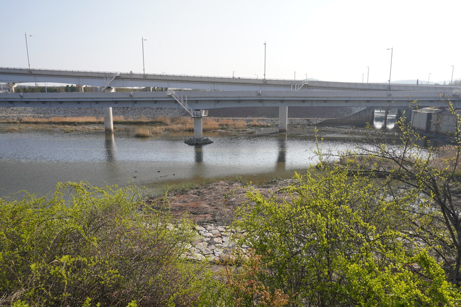 4월, 신도 및 시도 탐조_2.jpg