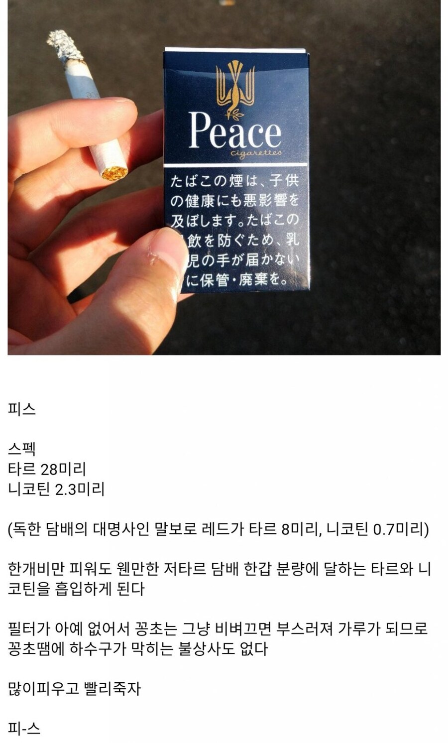 일본에서 발명된 친환경 담배_1.jpg