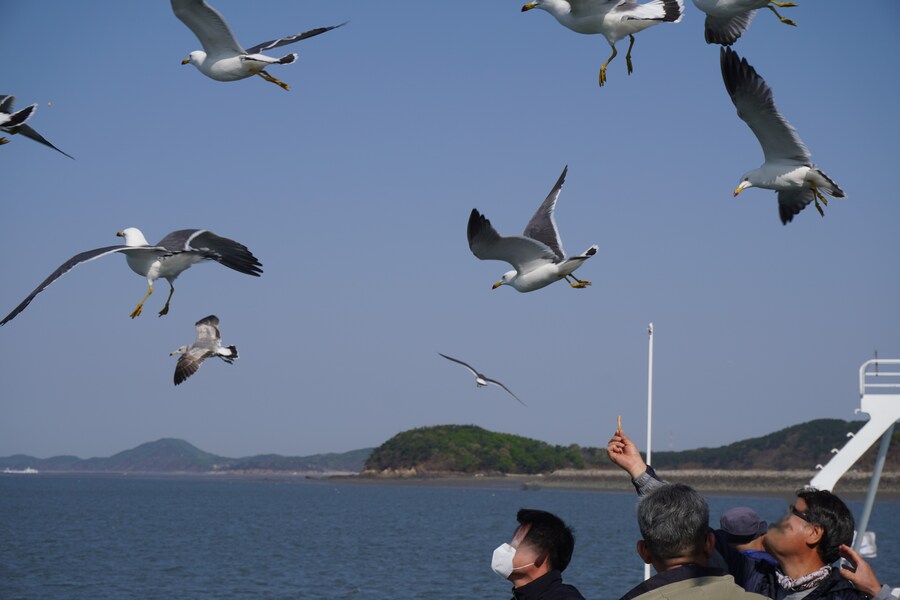 4월, 신도 및 시도 탐조_20.jpg