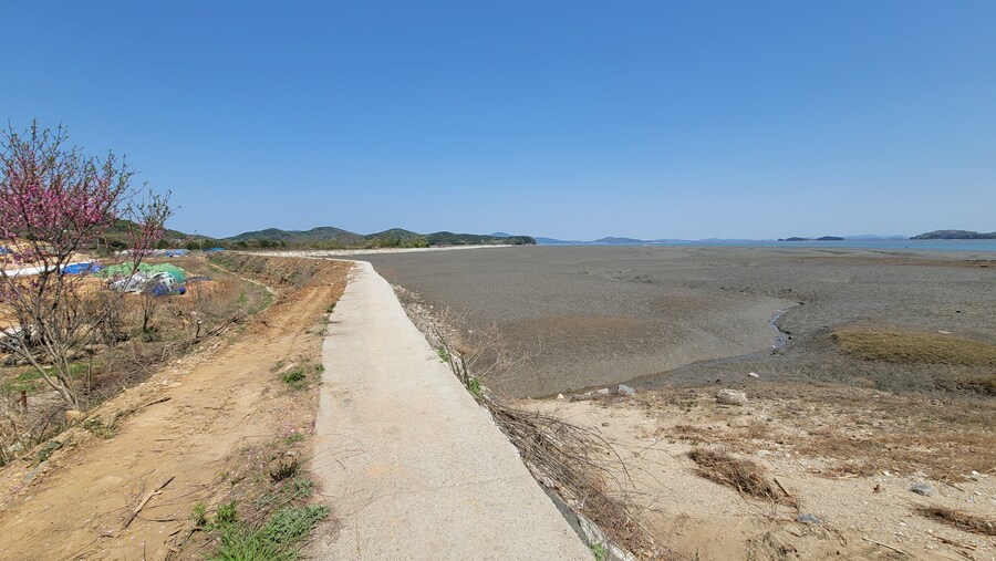 4월, 신도 및 시도 탐조_55.jpg