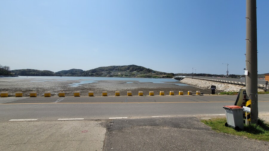 4월, 신도 및 시도 탐조_76.jpg