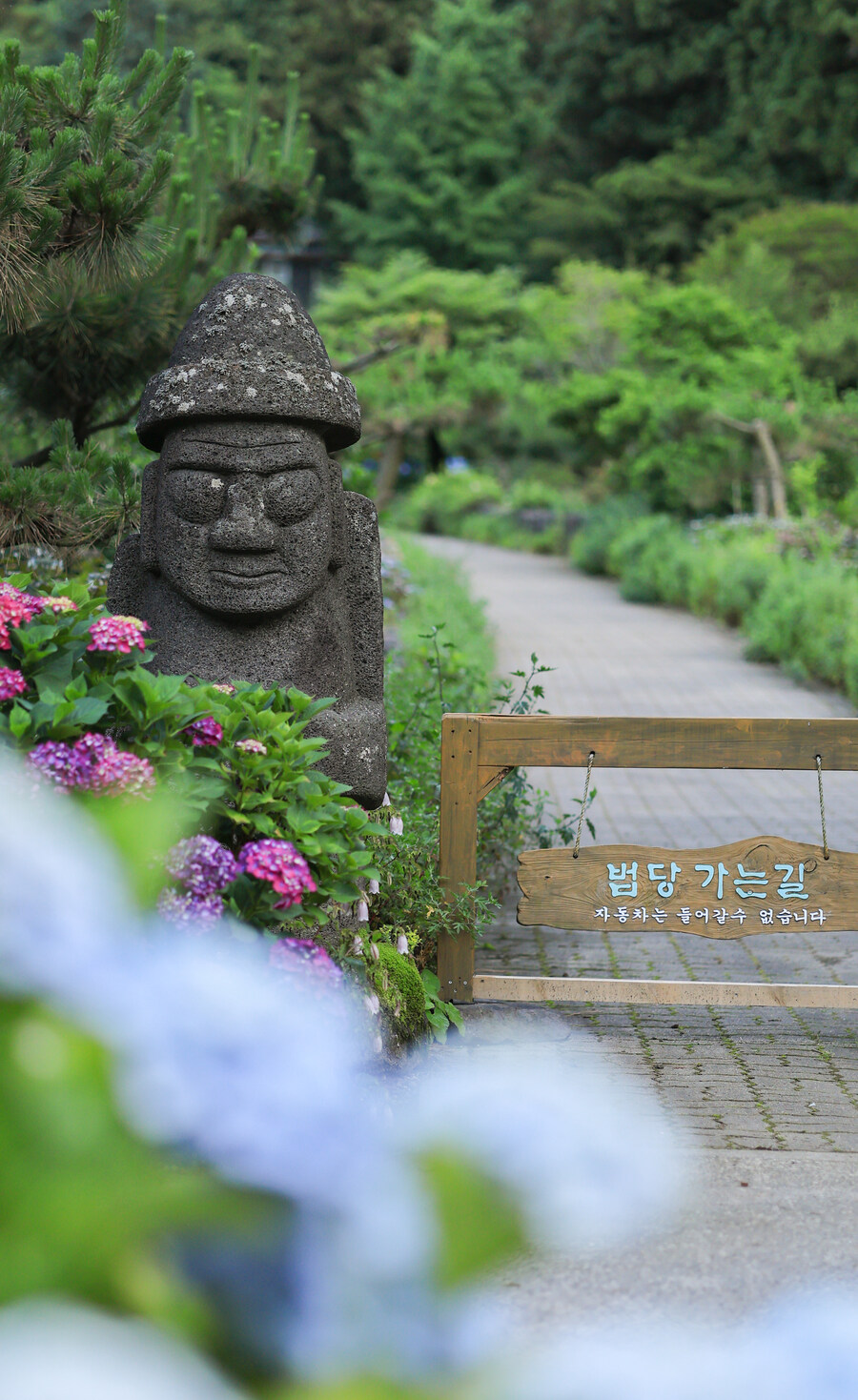 남국사 수국_1.jpg