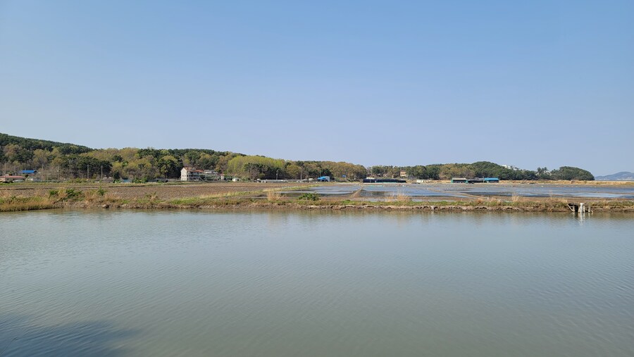 4월, 신도 및 시도 탐조_81.jpg