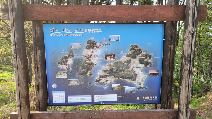 4월, 신도 및 시도 탐조_87.jpg