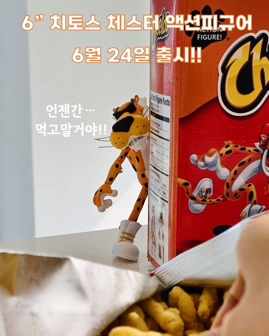 치토스 근황_2.jpg