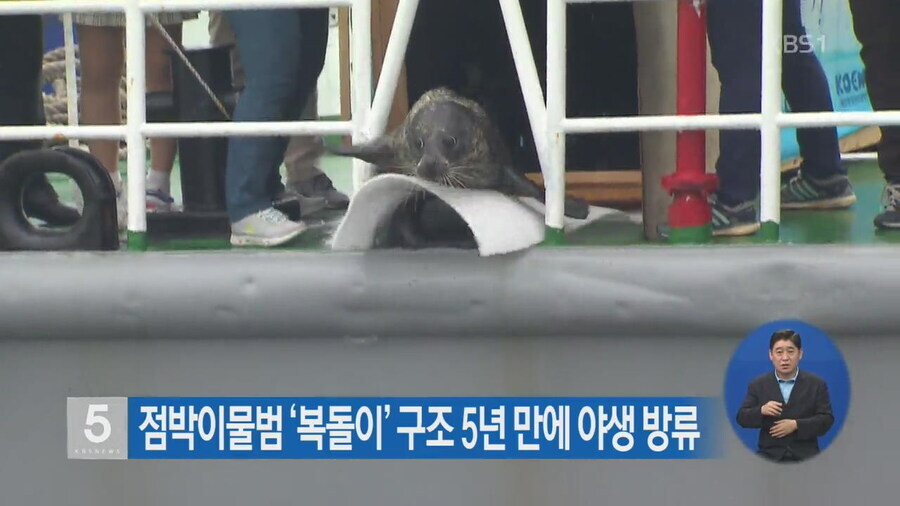님들은 gb때 복팩안썼음 ㅡㅡ??_1.jpg