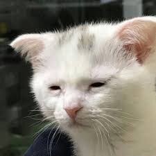 ㅇㅇㄱ)7일 째 이 사태를 지켜보는 우리의 모습_1.jpg