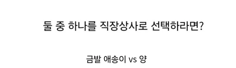 은영전) 직장상사 선택하기 밸런스게임.jpg_2.webp