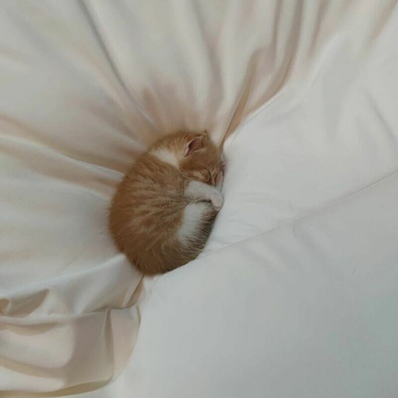 침대를 좀 큰 걸로 샀나_1.jpg