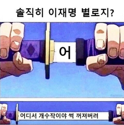 개딸들이 짬통위해 만든짤들(혐주의)_1.jpg