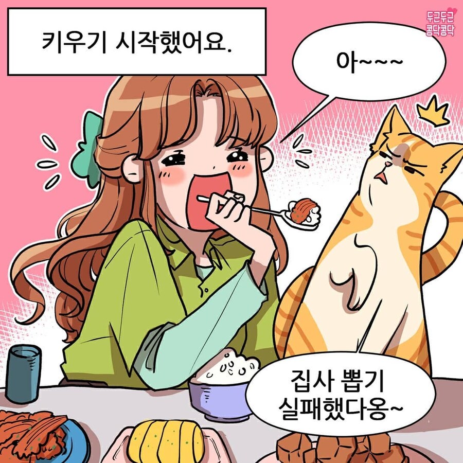 여친이 길냥이 주워서 키우는만화_2.jpg