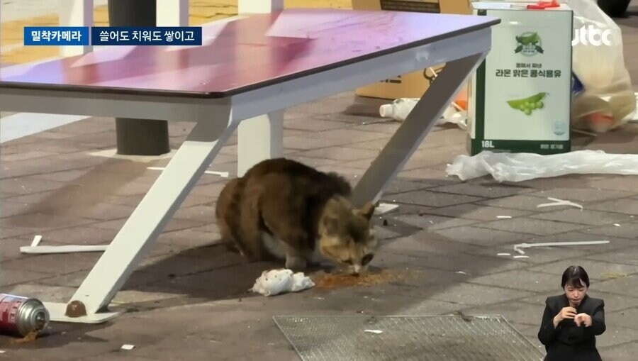 공원이 깨끗하면 안되는 이유_1.jpg