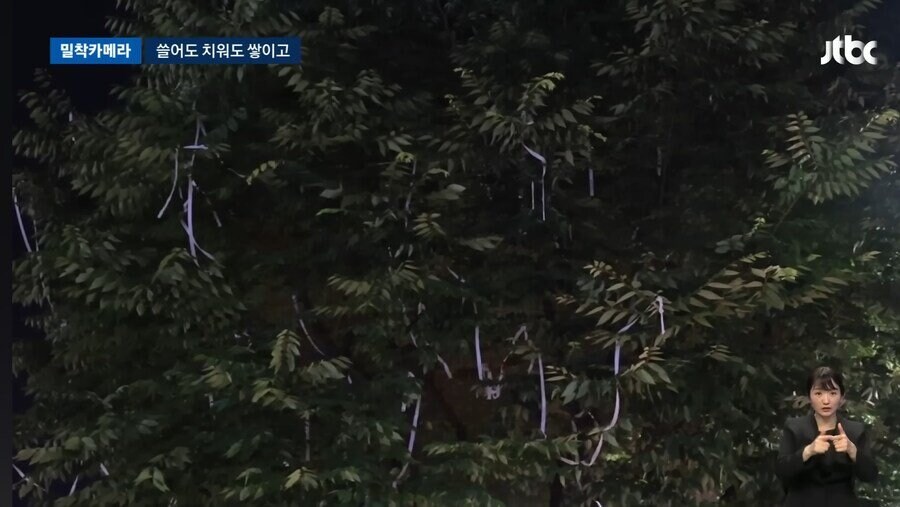 공원이 깨끗하면 안되는 이유_4.jpg