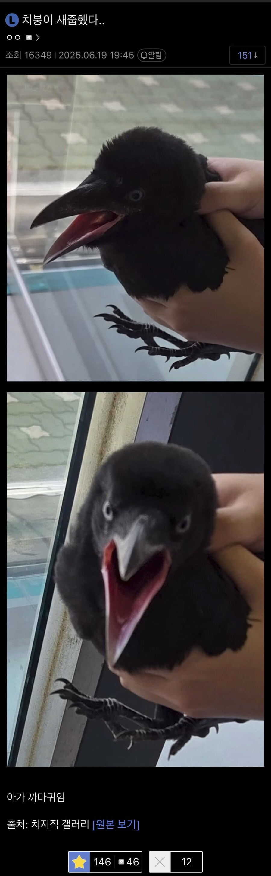 까마귀 군주가 명한다.jpg_1.jpg