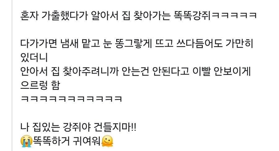 혼자 집 나왔다가 집 찾아 돌아가는 강아지_1.jpg