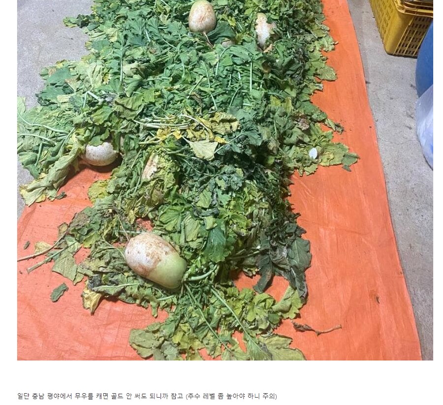 마비M] 이번에 터졌다는 데카복사 버그 경위.jpg_2.png