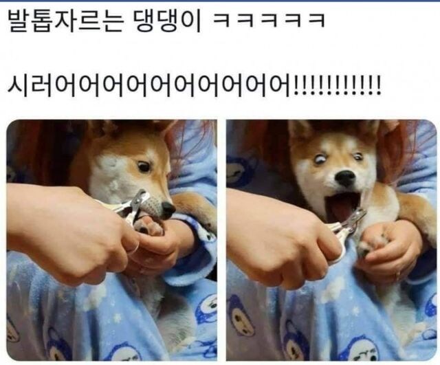 으악 하지마!!_1.jpg