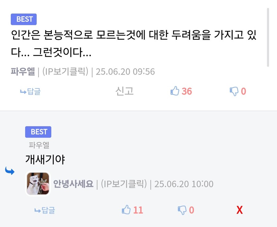 얘들아 나 개 처발렸어 위로 좀 해줘..._2.jpg