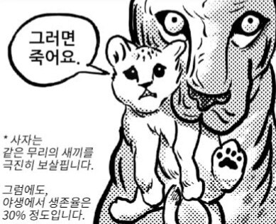 사자는 그러면 죽어요.jpgif_2.jpg