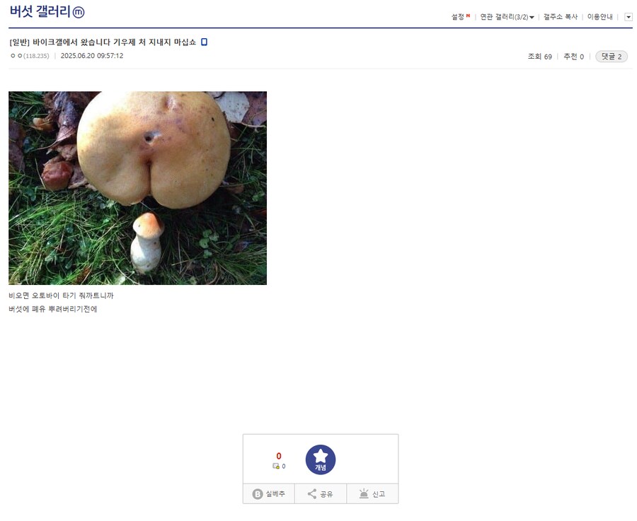 바이크갤에서 왔습니다 기우제 쳐 지내지 마십쇼_1.png