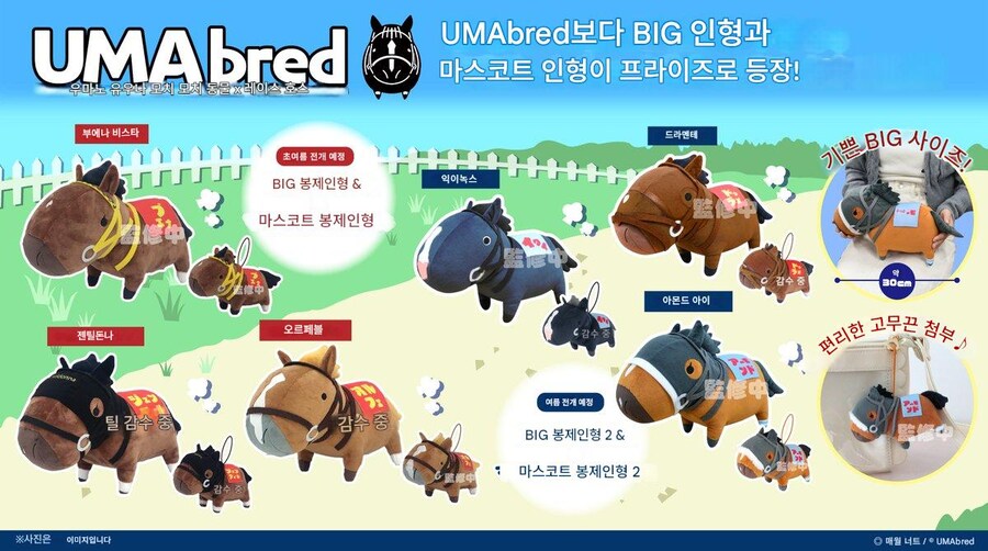경마) / 말딸) UMAbred 경주마 신상품 여름 ~ 겨울 발매 예정_1.jpg