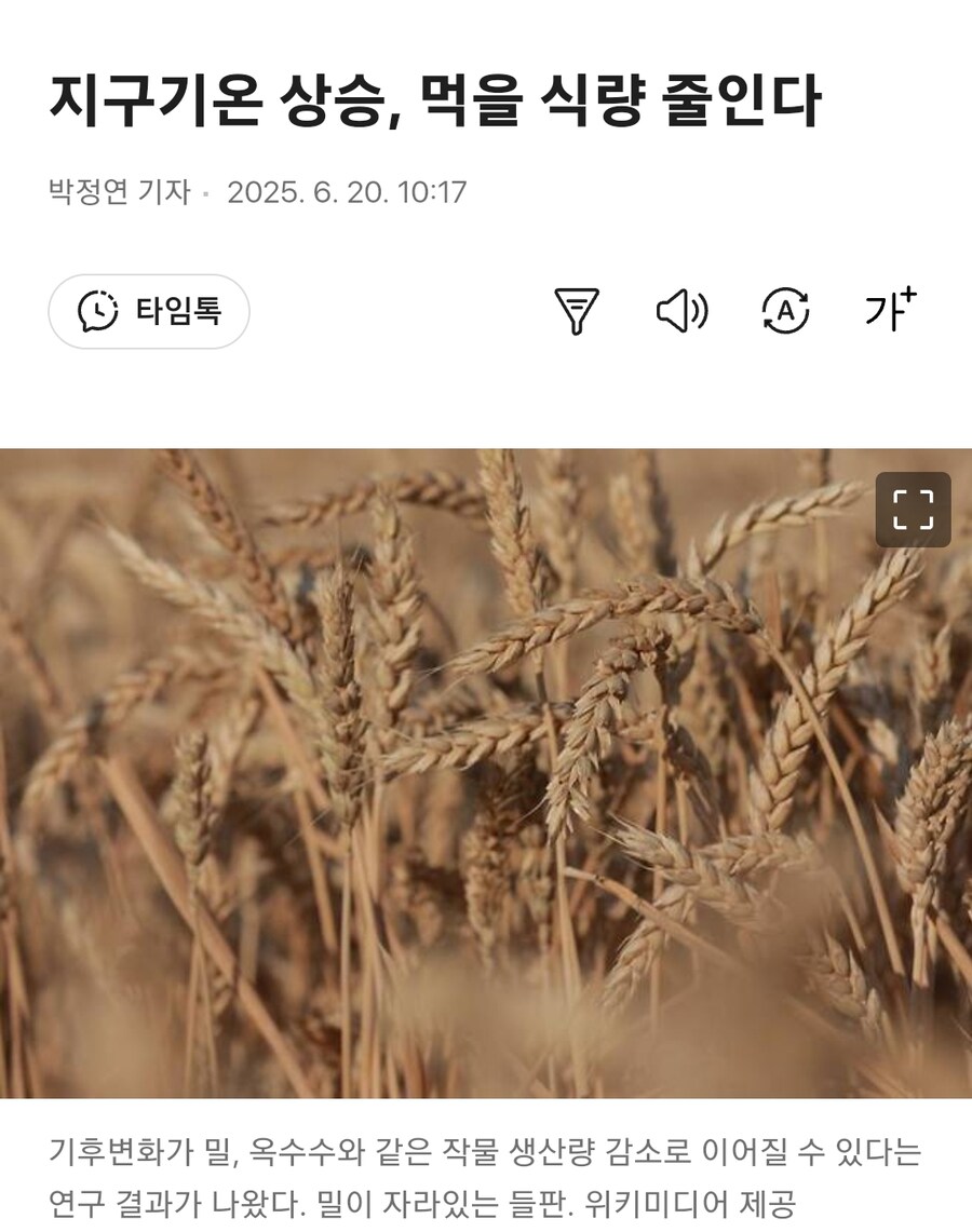 쌀먹) 지구기온 상승, 먹을 식량 줄인다_1.jpg