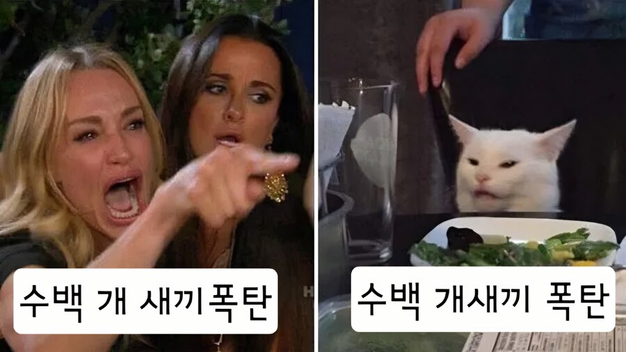 개새1끼 폭탄_2.jpg