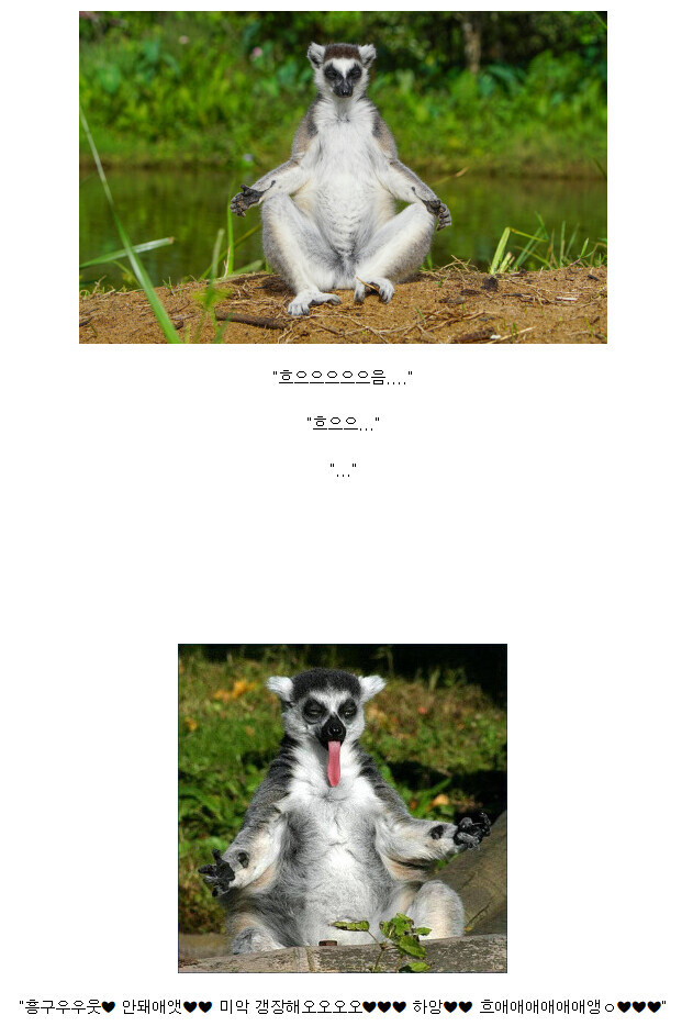 유게에 올라오는 좇토피아 피해 사례는 실제로 존재함_1.jpg