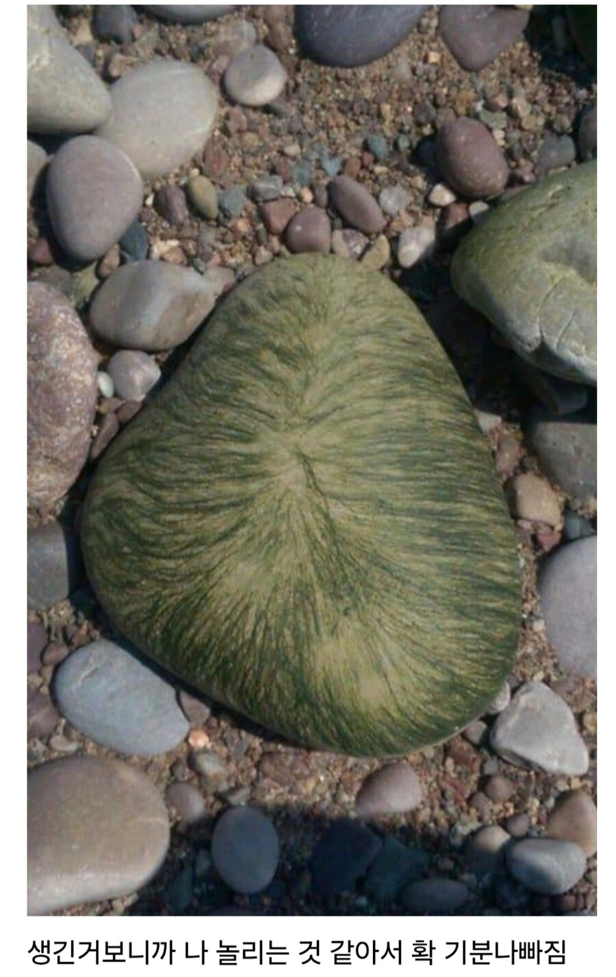 이새끼 고소가능함?_1.png