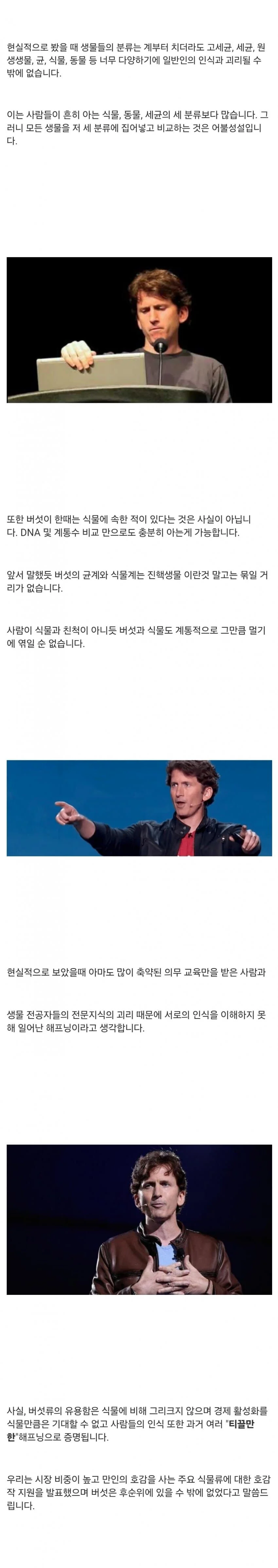 버섯갤을 침공하는 사악한 햇빛쨍쨍단들_3.webp