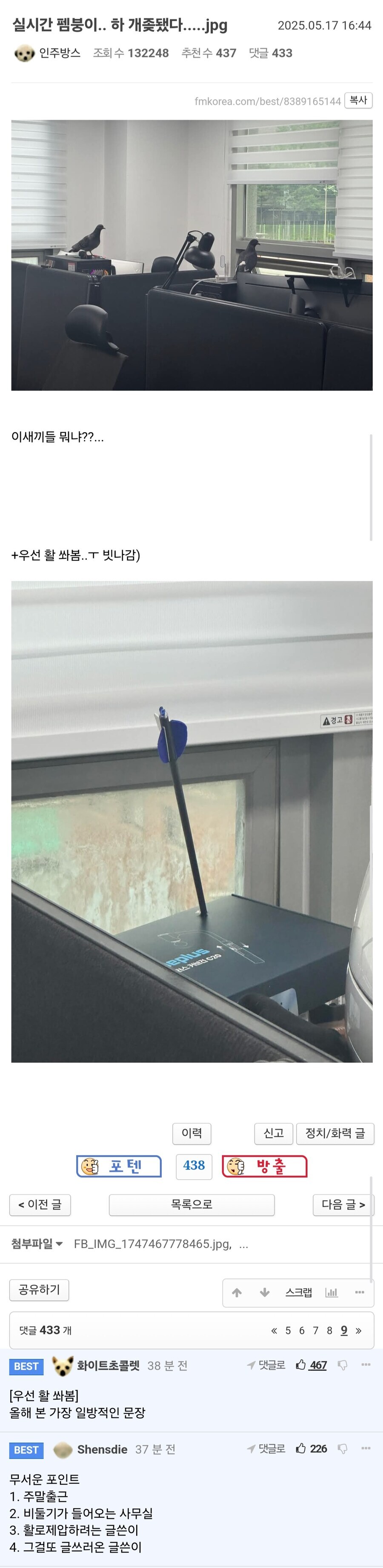 사무실에 비둘기가 들어오자 한 행동.jpg_1.jpg