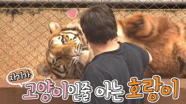 젠레스)귤뾱이는 고양이야..._1.jpg