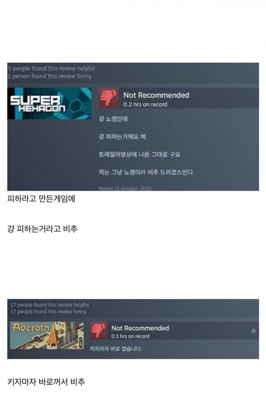 스팀 게임평가 모음집_5.jpg